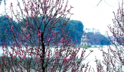 Dự báo thời tiết Tết Nguyên đán 2023 mới nhất tất cả các tỉnh thành trên cả nước