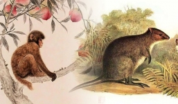 3 tuổi Phật thương nhưng chẳng độ, năm Quý Mão 2023 cẩn thận kẻo tai ương dẫn lối