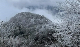 Mưa nồm ẩm nhưng rét chưa hết, cuối tháng 2 Bắc Bộ tiếp tục hứng rét trái mùa