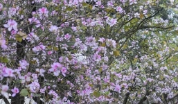 Dự báo thời tiết đêm nay và 10 ngày tới trên cả nước thời hạn từ 2-12/3 mới nhất