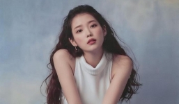 IU bất ngờ bị đệ đơn tố cáo vì lý do Sơn Tùng cũng từng gặp phải suốt sự nghiệp