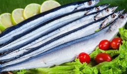 Thấy 5 loại cá này không mua sẽ 'tiếc hùi hụi', hội tụ đủ các yếu tố ngon - bổ - sạch