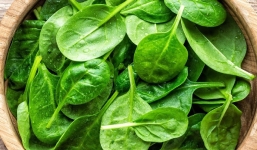 Có lợi cho sức khỏe như mồng tơi nhưng nếu mắc bệnh lý này nên 'bóp mồm bóp miệng'