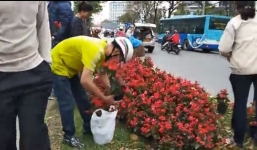 Người dân lại tiếp tục mang ô tô lấy hoa trang trí thượng đỉnh Mỹ Triều