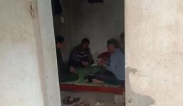 Cán bộ đánh bài tại chốt kiểm dịch tả lợn hoảng hốt khi bị phát hiện