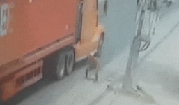 Người đàn ông cố tình lao đầu vào xe container đang chạy