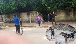 Vụ bé trai ở Hưng Yên tử vong: Chủ đàn chó hung dữ uy hiếp phóng viên