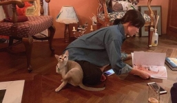 Lộ ảnh nghi vấn Song Hye Kyo đang mang thai với Song Joong Ki