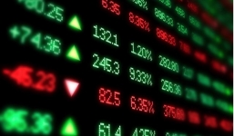 Tin tức kinh doanh 24h mới nhất, nóng nhất ngày 17/6/2019