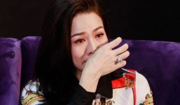 Phạm Quỳnh Anh, Nhật Kim Anh sự trùng hợp từ sự nghiệp đến cuộc đời