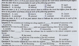 Đáp án gợi ý môn Tiếng Anh tốt nghiệp THPT quốc gia năm 2019 mã đề 407 trên Tin Mới