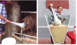 Thực hư bà Tân Vlog dùng muôi xúc cám lợn để khuấy trà sữa
