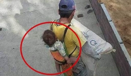 Bố địu con giữa trời nắng nóng đi bốc xi măng khiến nhiều người suy ngẫm