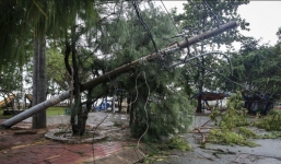 Cập nhật tin bão số 2 mới nhất: Bão giật cấp 11 đã đổ bộ vào Hải Phòng - Nam Định