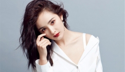 Dương Mịch bị fan kéo váy trong sự kiện vẫn vui vẻ chụp ảnh cùng