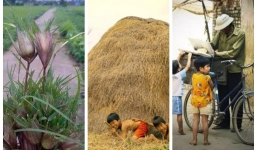 Cả một bầu trời tuổi thơ thế hệ 7x, 8x ùa về khi thấy những bức ảnh này