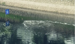 Xả nước hồ Tây ra sông Tô Lịch khiến kết quả thí nghiệm chốc lát bị cuốn trôi