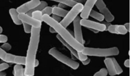 Vì sao đánh răng hàng ngày, răng vẫn bị sâu?