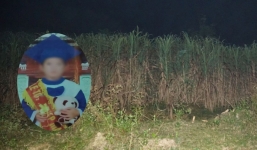 Tin tức thời sự pháp luật 24h nóng nhất, mới nhất hôm nay 29/11/2019