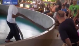 Rắn hổ mang hung hãn quay ra tấn công khán giả đứng xem biểu diễn