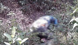 Tin tức pháp luật 24h: Xác định kẻ nã súng vào nhà vợ cũ khiến 7 người thương vong