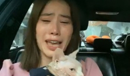 Nam Em tiều tụy, đôi mắt sưng vì khóc trong khi Trường Giang hạnh phúc bên vợ