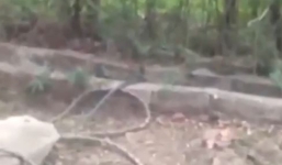 Phát hiện nạn nhân nằm bất tỉnh, thứ trong ống quần mới gây hoảng hốt