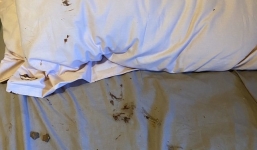 Tỉnh dậy, hoảng hốt phát hiện thứ khủng khiếp trên giường cạnh mình suốt đêm