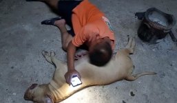 Nghe tiếng động ngoài sân, mở cửa chứng kiến cảnh tượng không thể đau lòng hơn