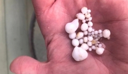 Cắn phải thứ lạ, người đàn ông sững sờ biết mình đã trúng lớn