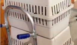 Nghe âm thanh lạ phát ra từ chiếc giỏ, mở nắp kiểm tra ai cũng sững sờ