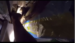 Người đàn ông hoảng hốt phát hiện rắn hổ mang chúa đang ẩn nấp trong nhà