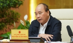 Thủ tướng: Sẽ nhập khẩu thịt lợn nếu không đưa được giá xuống 60.000 đồng/kg