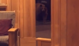 Giữa đêm ở khách sạn, cô gái bàng hoàng phát hiện một 'vị khách lạ'