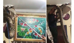 Nghe âm thanh lạ phát ra từ trần nhà, người đàn ông tìm ra thứ hãi hùng