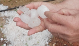 Mưa đá to như quả trứng làm hàng trăm nhà dân bị hư hỏng ở Nghệ An