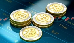 Tin tức kinh doanh 24h: Việt Nam nhập khẩu hơn 46 nghìn tấn thịt lợn