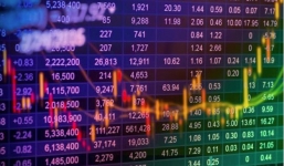 Tin tức kinh doanh 24h: Giá thịt lợn vẫn tăng tốc, cổ phiếu Vingroup nổi sóng