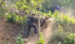 Sự thật chó nghiệp vụ hy sinh khi truy bắt phạm nhân vượt ngục