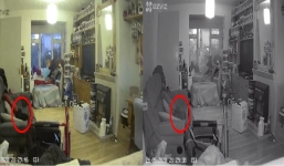 Cô gái hoang mang phát hiện chi tiết lạ khi xem camera sau 1 năm mèo cưng qua đời