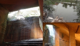 Bơm nước khỏi ao làng, người đàn ông giật mình phát hiện bí mật lớn bị chôn vùi