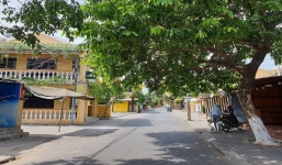 Tìm F1 của BN 614 làm việc thường xuyên tại công ty gần 2 tuần 