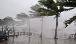 Tin bão số 8 mới nhất : Bão Saudel dự kiến đổ bộ Hà Tĩnh - Quảng Trị