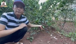 Ngoài nhà thờ Tổ, danh hài Hoài Linh còn để lộ độ giàu có khi sở hữu cơ ngơi cả nghìn m2 khác