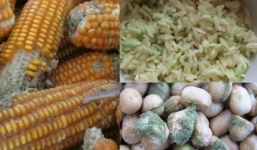 3 loại thực phẩm quen thuộc trong bếp âm thầm hại gan ngon mấy cũng nên tránh