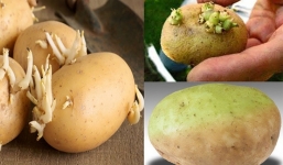 4 loại thực phẩm phổ biến chứa chất gây ung thư không nên ăn