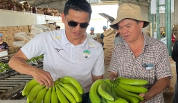 Trồng chuối và chăn heo, bầu Đức thu hơn 15 tỷ mỗi ngày