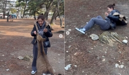 Chi Pu hoảng hốt vì gặp sự cố khi đang đi du lịch