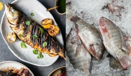 5 loại cá chớ nên mua dù rẻ như cho kẻo rước bệnh vào người không hay