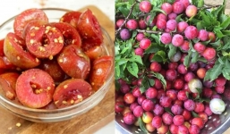 Bí quyết ăn mận không lo bị nóng trong người, không nổi mụn